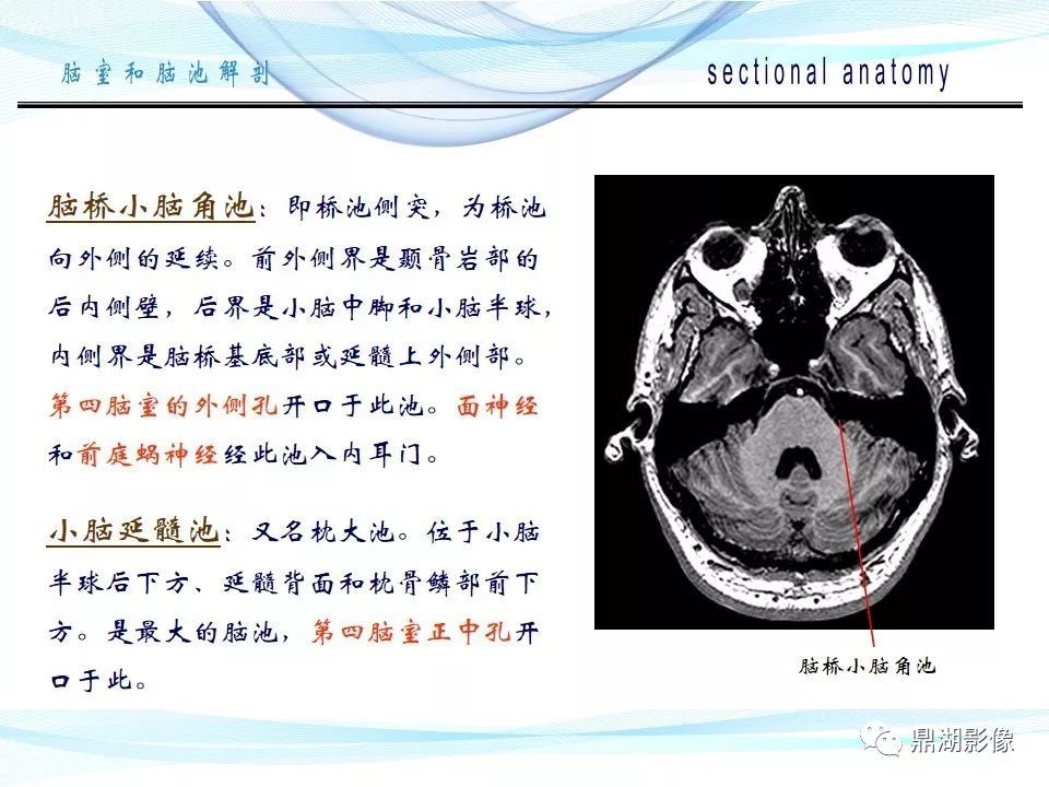 转发是最大的支持!免责申明本站所提供内容