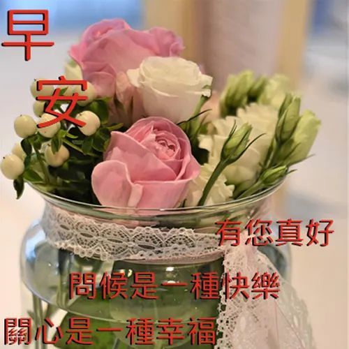 2021最新版大家早上好表情图片大全超阳光的早安问候祝福语句子