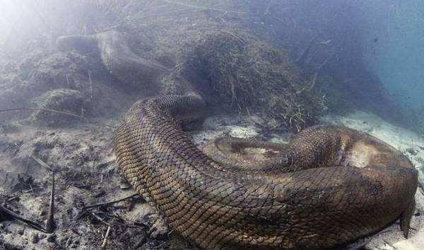 颠覆你的三观,看看什么是真正亚马逊_腾讯新闻