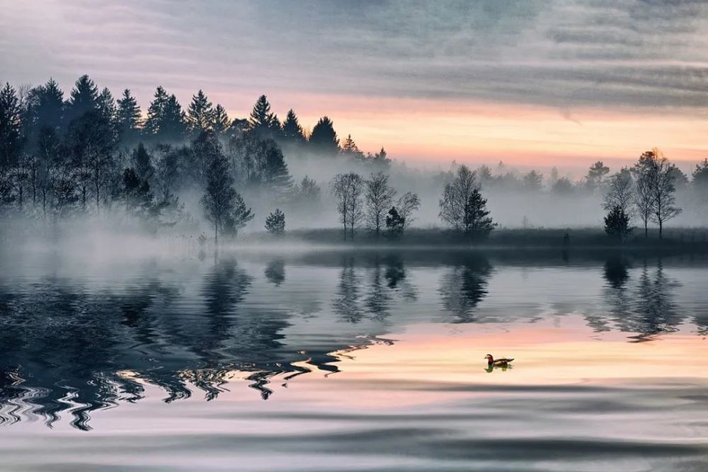 送别诗|九首经典送别诗，需要时写给朋友吧！