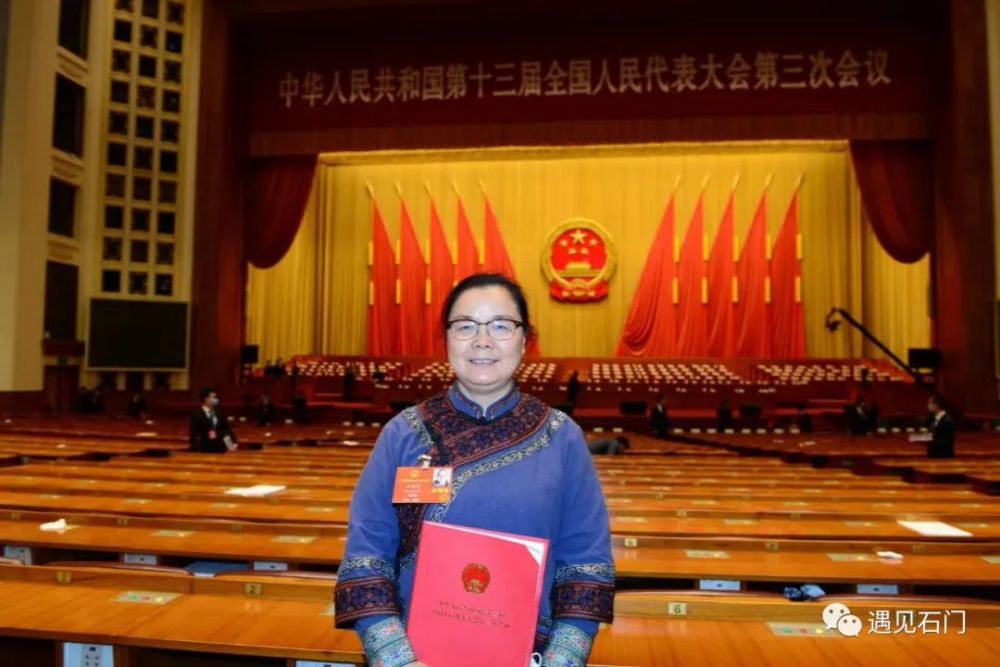 关于石门高铁全国人大代表王怀军今年提了什么建议