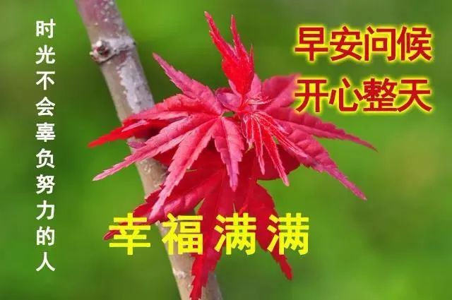 6月13日最漂亮的早上好祝福语图片温馨清晨群发短语暧心问候动图 平安