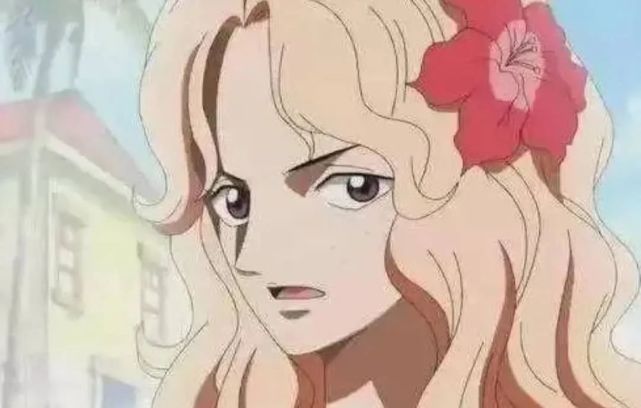 海贼王 九大d一族的人物!