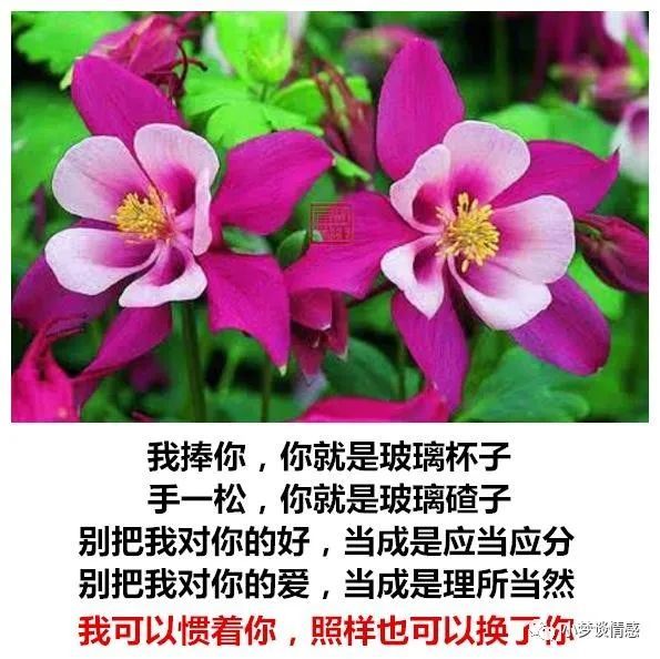 我捧你你就是玻璃杯子手一松你就是玻璃碴子