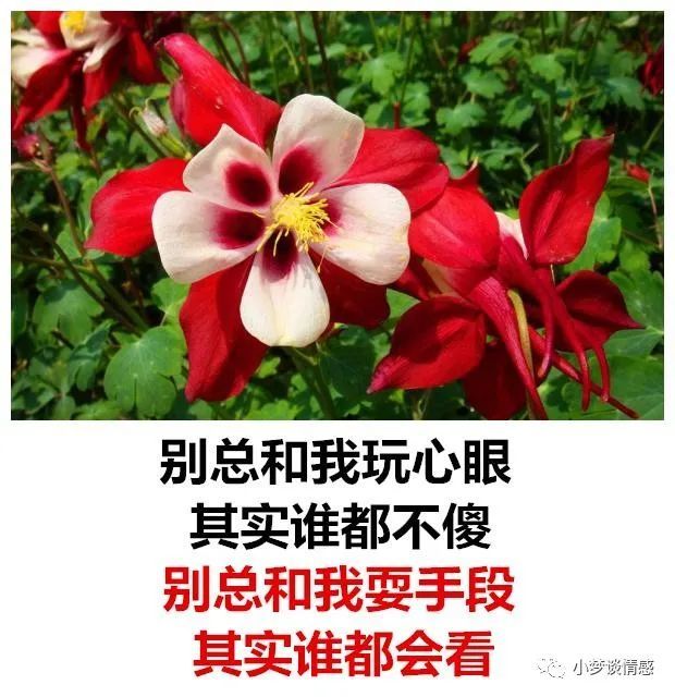 别总和我玩心眼,其实谁都不傻(句句精辟)人之初性本善,玩心眼的全滚蛋