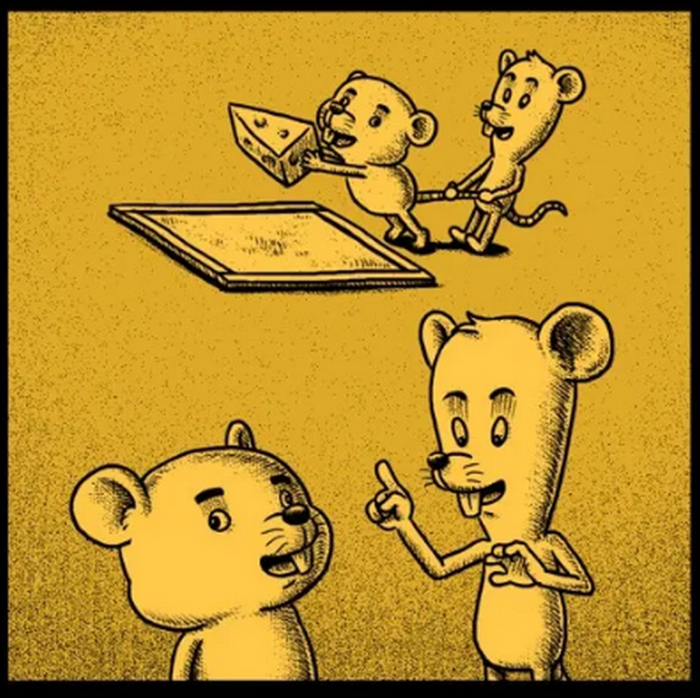 爆笑看到前面陷阱上的奶酪小老鼠们商量合作一起吃后面的老鼠却想独吞