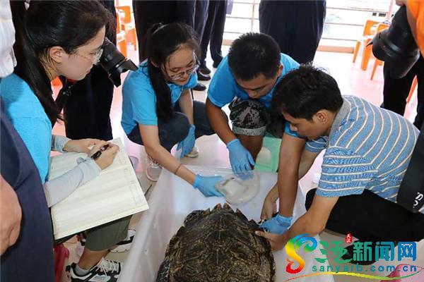 海南热带海洋学排名_海南热带海洋学院2019年录取分数线