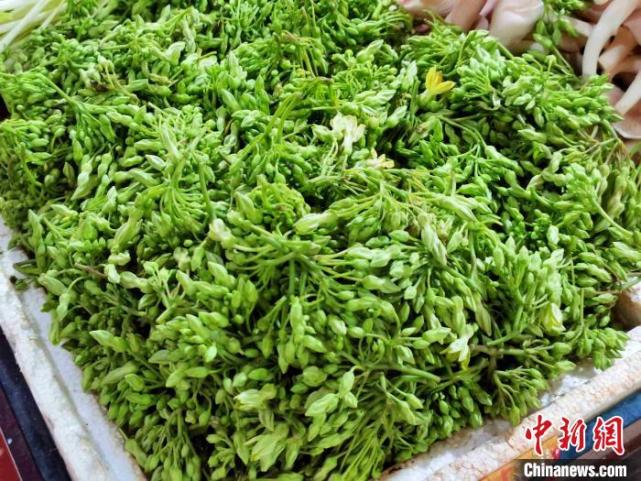 夜兰花：广东侨乡台山人餐桌上的新宠_腾讯新闻