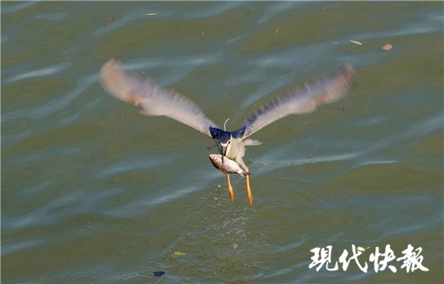 腾讯内容开放平台