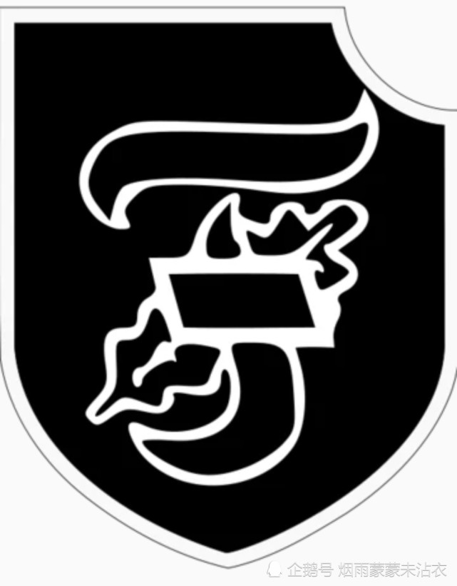 党卫军第十师刚组建完成时,它只是一个装甲掷弹兵师,6月,希姆莱命名它