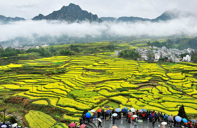 中国最美的乡村 油菜花风景胜地 被誉为 世外桃源 腾讯新闻