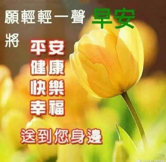 2020最新版最美早上好問候語圖片帶字早上好2020最美麗的鮮花圖片帶字