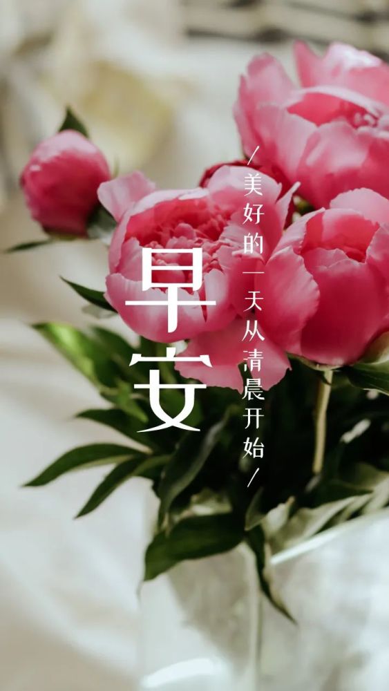 612早安心语
