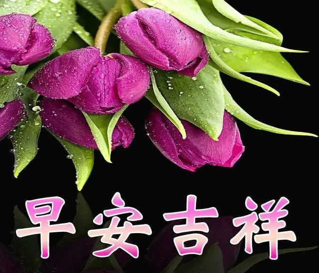 6月8日最新版溫馨早上好問候表情包圖片帶字,早安陽光問候祝福語圖片