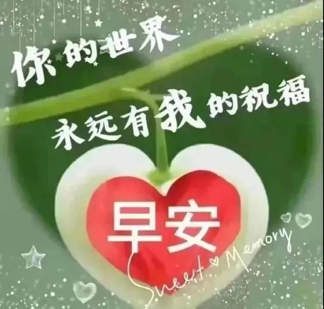 早安带文字温馨问候大家早上好图片全集温馨早上好问候语最美祝福送上