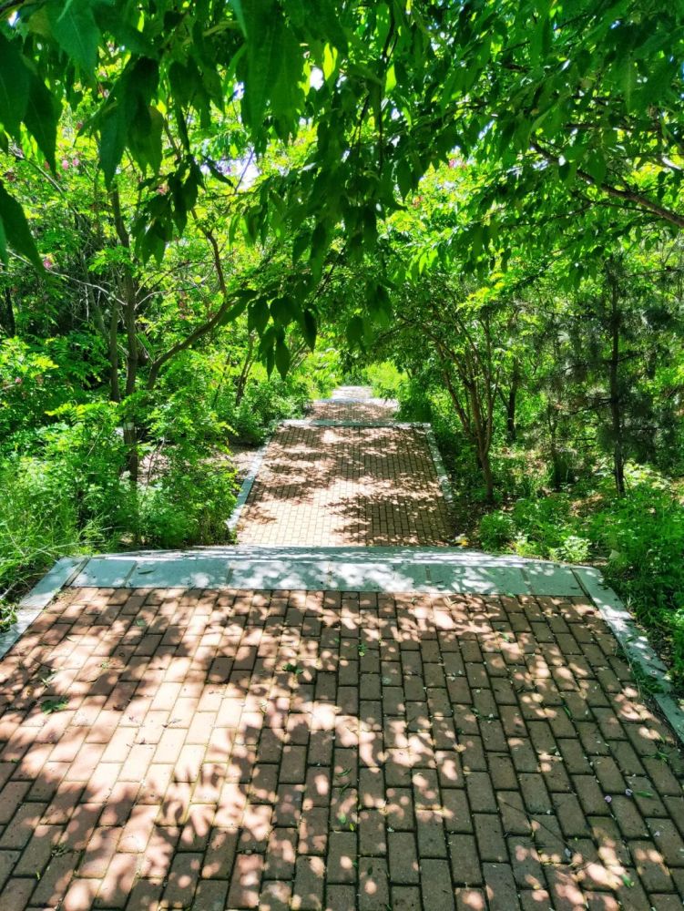 最美大连 西尖山公园