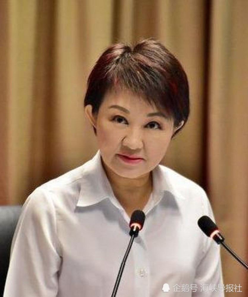 台中市长卢秀燕如何抵挡罢免潮?
