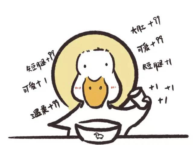 网红宠物柯尔鸭淡黄的嘴巴蓬松的羽毛简直可爱到爆炸