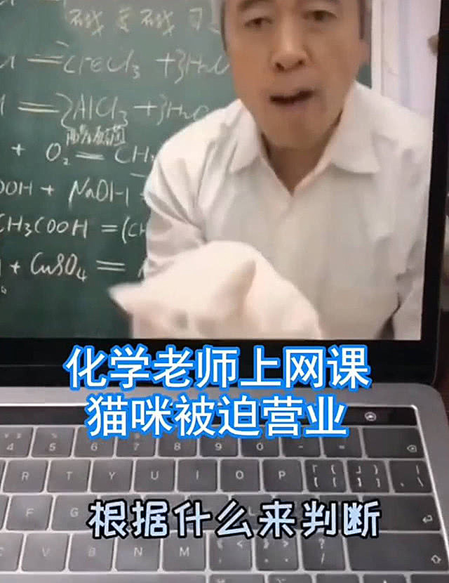 我也是刷了三遍网课(刷网课成绩归零怎么办)