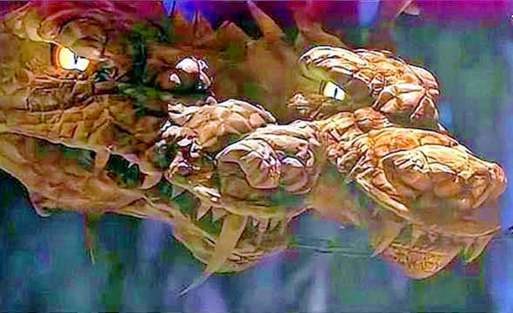 而前任巫尊因为追杀顼阳,结果她和顼阳施展了化龙术,变成了神龙,被