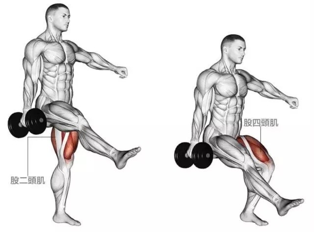 如何增强股四头肌的肌力加强膝关节周围肌肉力量的锻炼方法