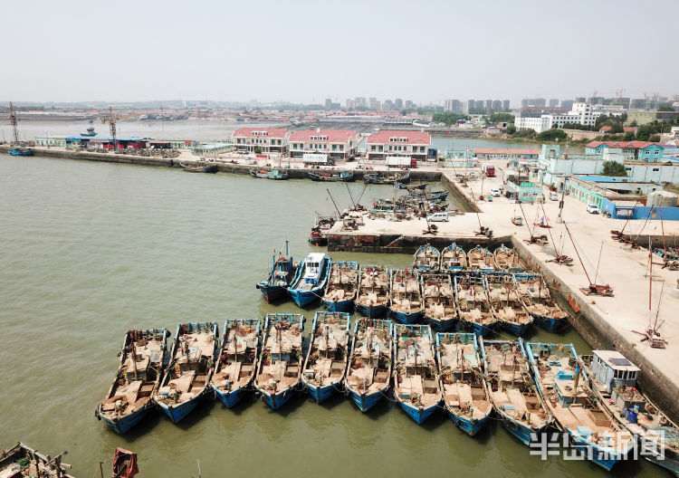 青岛市红岛码头休渔期的渔船成排停放在码头内