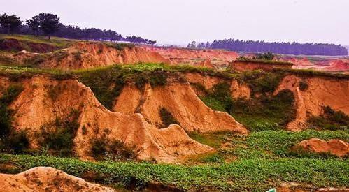 孙二娘|山东暗藏孙二娘宝藏，多年寻宝无人发现，结果猪帮了大忙