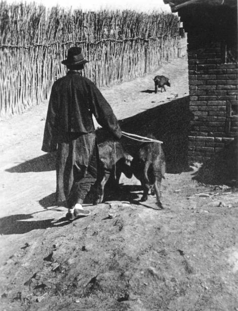 孙二娘|山东暗藏孙二娘宝藏，多年寻宝无人发现，结果猪帮了大忙