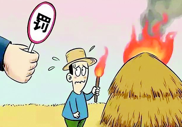 居民在焚烧秸秆,烧纸祭祖,小孩玩火等明火引发的火灾.