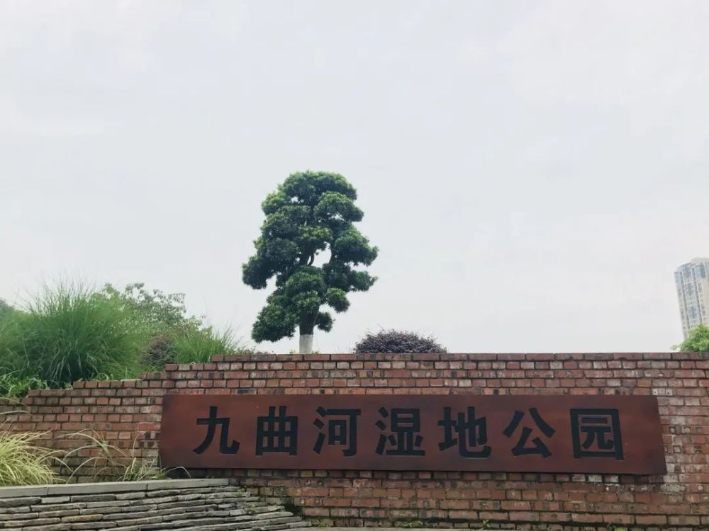 前一段時間,九曲河溼地公園由於垂釣小龍蝦而被大眾所熟知.