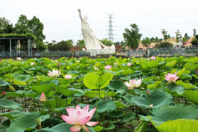 並送你一份最新的佛山遊玩攻略|長鹿旅遊休博園|遊玩|三水荷花世界