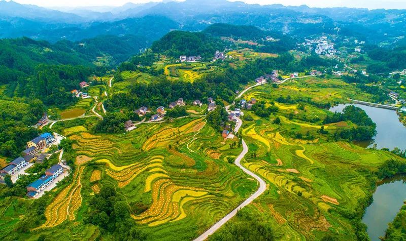 在此希望圣灯山镇,天星寺镇,界石镇,石滩镇,木洞镇继续保持"排头兵"