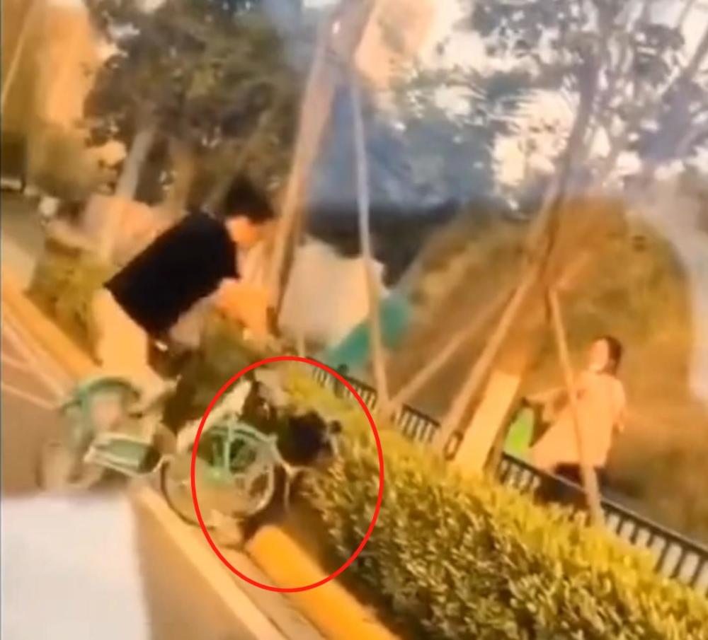 幼女捡回成年女子乱扔的垃圾 被其当街暴打 事件警方通报辟谣 腾讯新闻