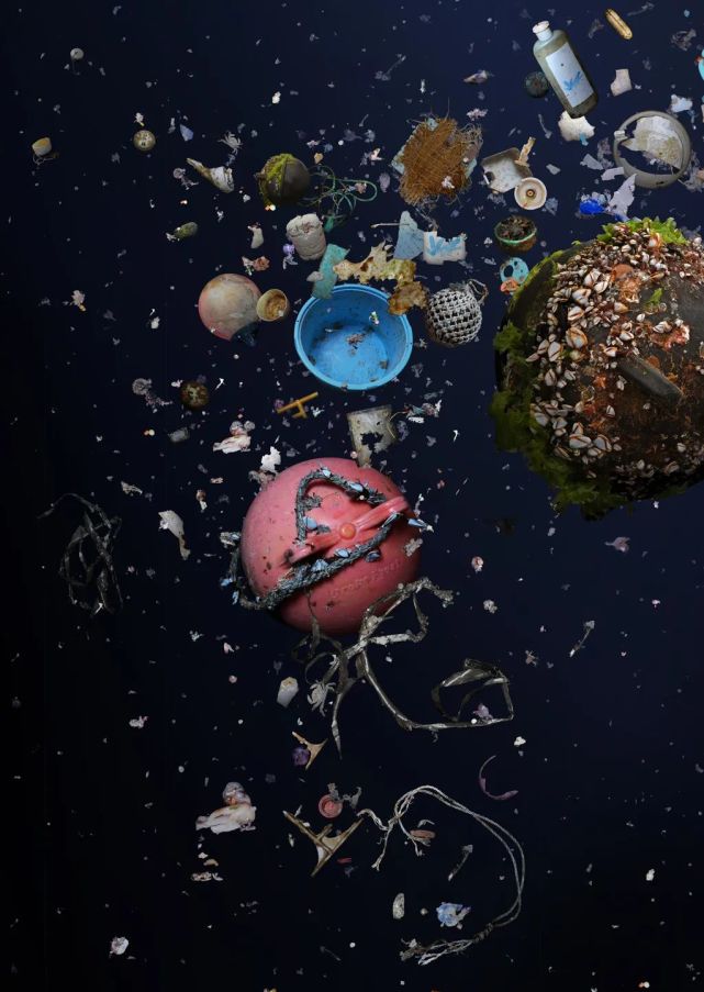 她痴迷于海边捡垃圾拍出绝美照片只为保护我们共同的海洋