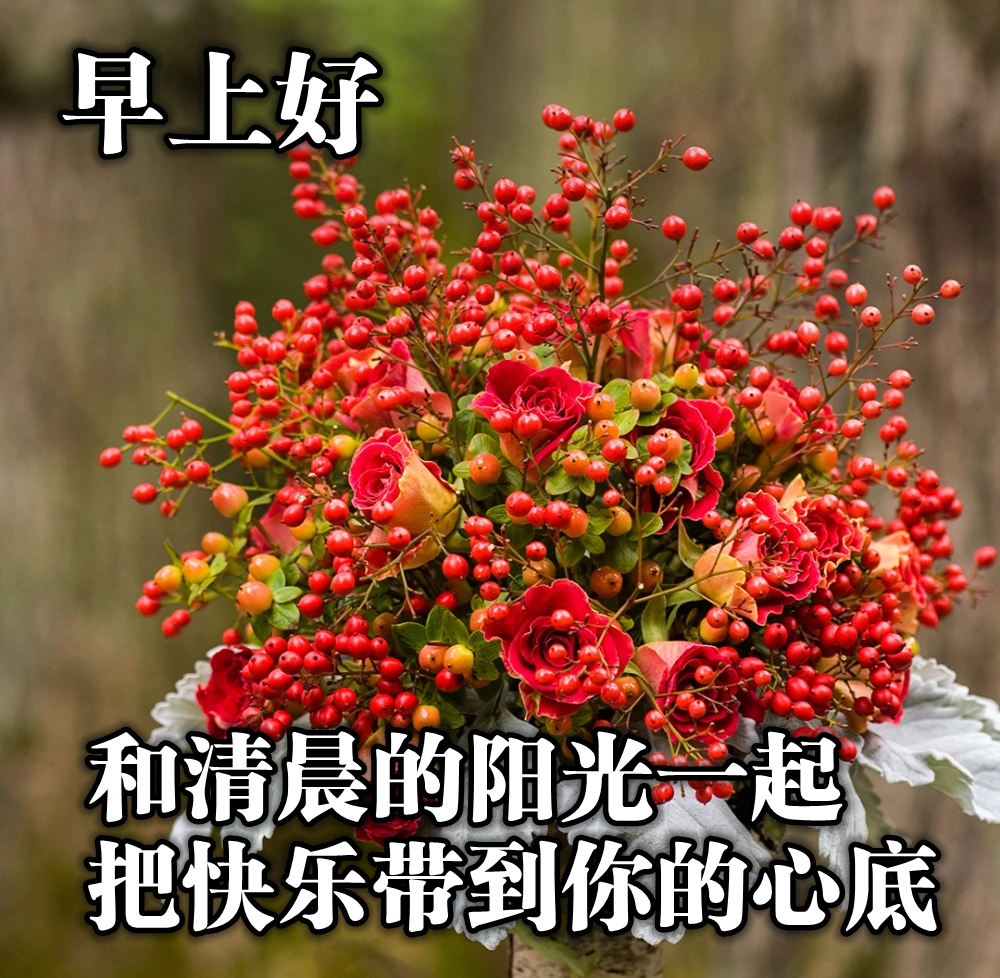 超好看的早上好溫馨祝福語錄圖片清晨問候大家早上好的漂亮圖片帶字