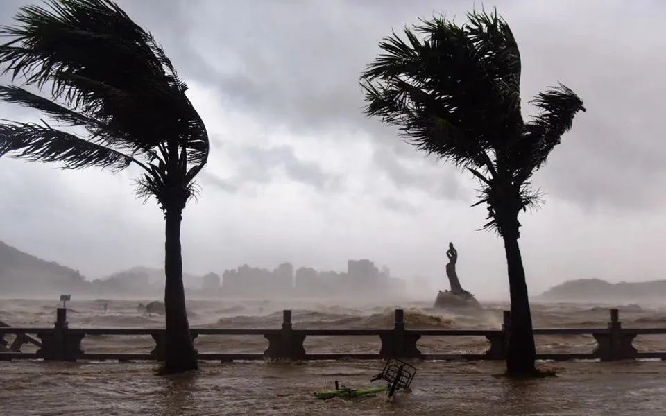 低洼或海边因为这类亭子并没有稳固的根基,固定一般不牢,在台风来临时