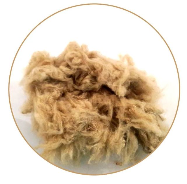 铜改性聚酯纤维的重要性功效及主要应用