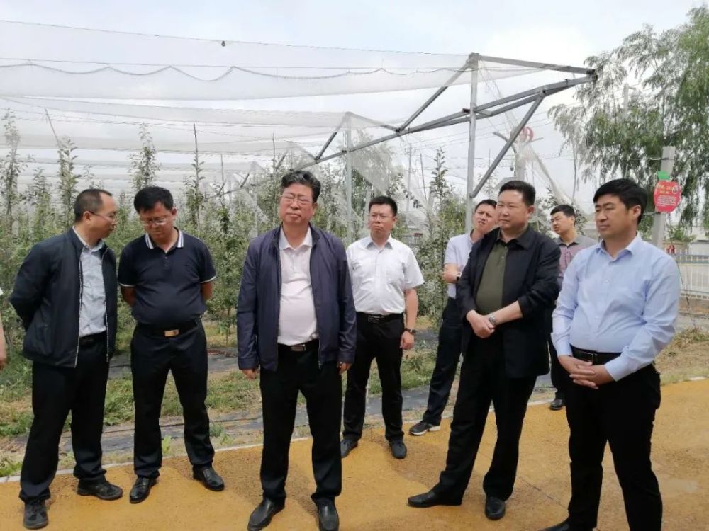 甘肃省农业农村厅厅长李旺泽来洛川县调研苹果产业发展情况_腾讯新闻