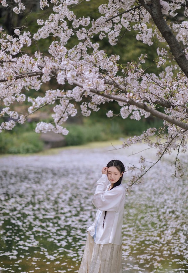 梨花树下的汉服小姐姐 浅色长裙素白衣衫 神似李子柒 汉服 小姐姐 梨花