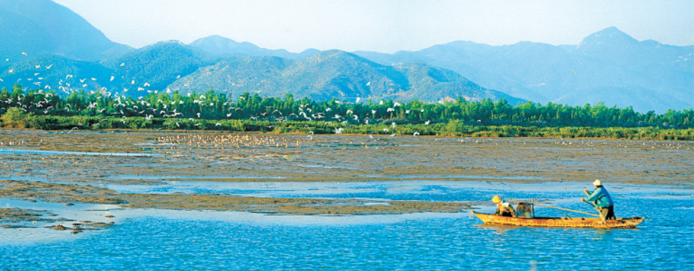 传承"围垦"精神!3500亩神盘!家门口的度假胜地,终于来了!_腾讯新闻