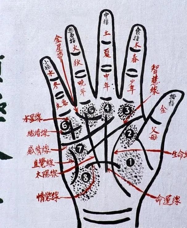 初天麟关于八字纯阴纯阳的命理