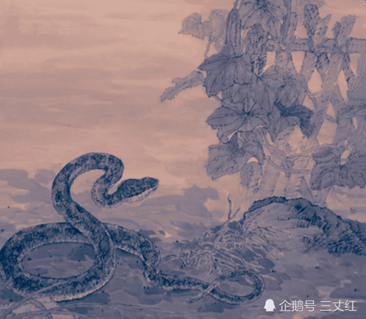 山海经里的白蛇图片