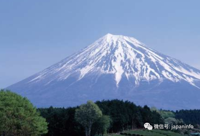 年 达尔文奖 颁给了一位在富士山直播日本男子