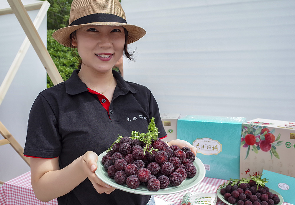宁波慈溪文旅节暨慈溪杨梅节开幕_腾讯新闻