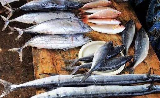 以后去市场 买这5种海鱼 好吃又划算 鱼铺老板也会夸你懂行 腾讯新闻