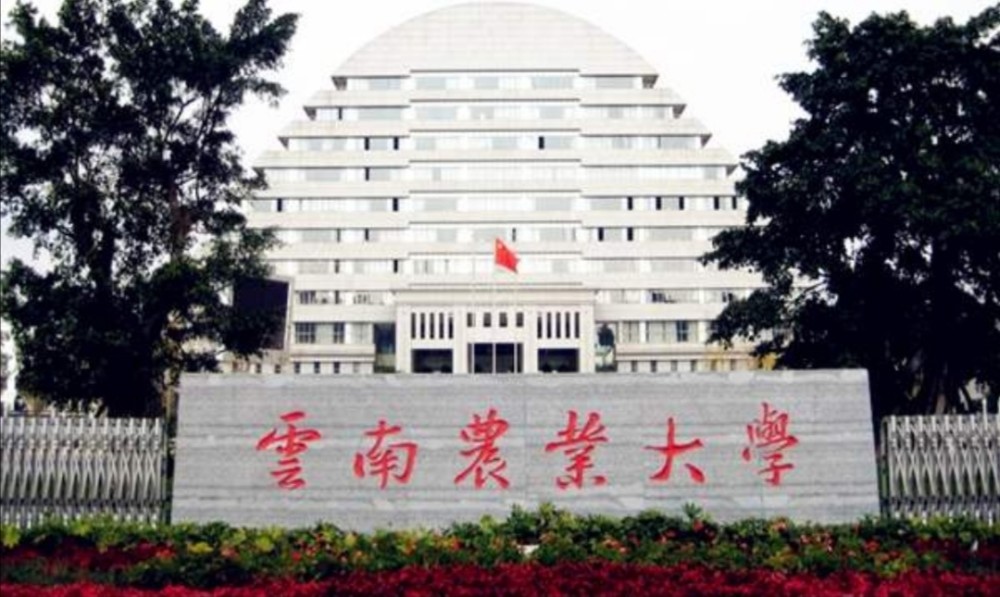 如果近代不拆分云南大学会是985乃至更强吗