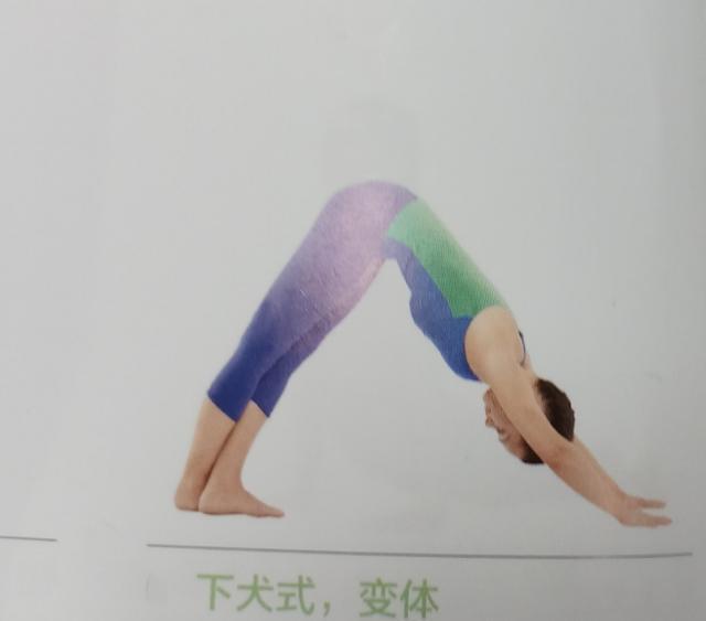 2,下犬式变体注意保持脊柱立直,臀部向下.