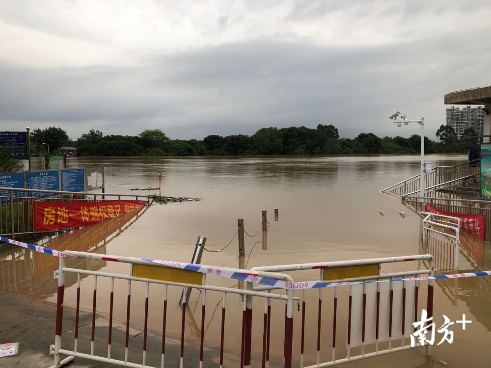 南方航拍东江东莞段水位明显上升市民需注意安全