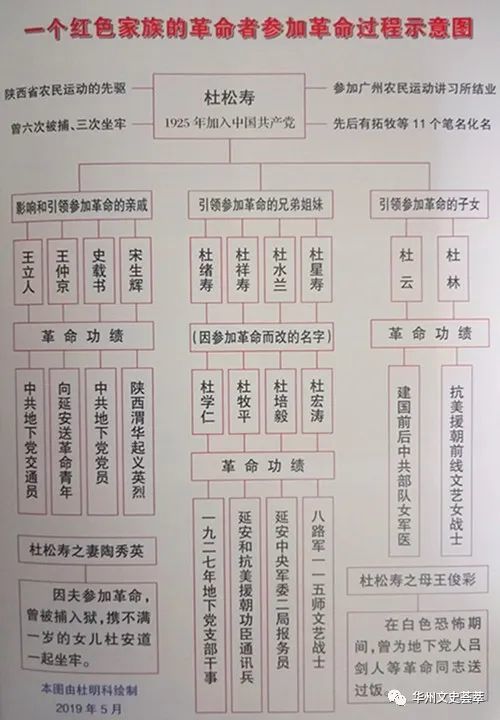 我的华州杜氏家族,从我的父辈来说,他们就是兄弟姐妹先后全都参加不同