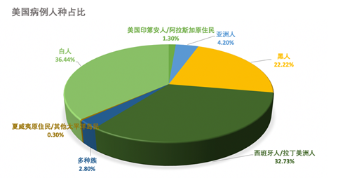 (美国新冠确诊病例人种占比.
